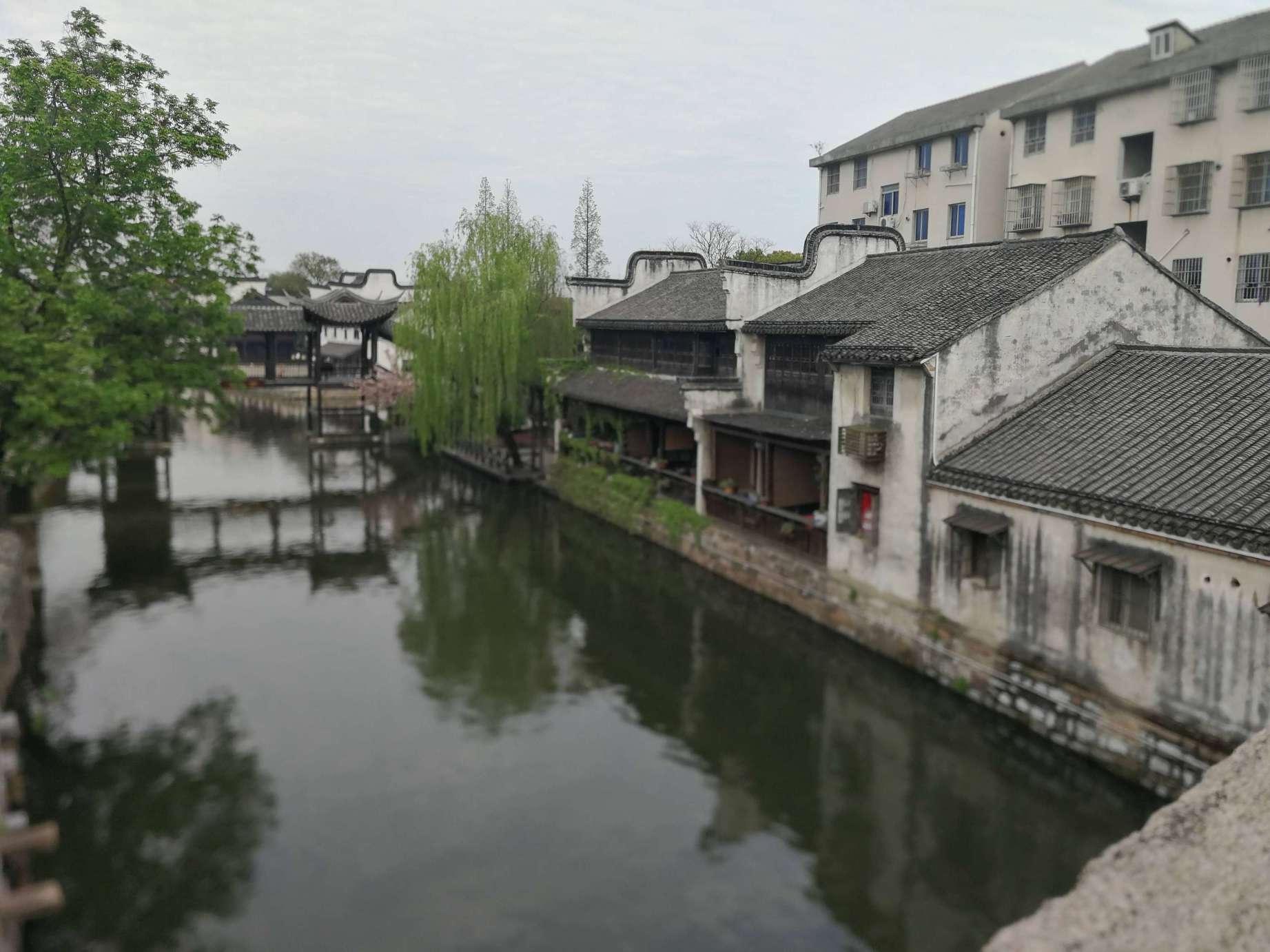 机智问答网页-获取智慧的女命身弱财旺如何化解?问题解答